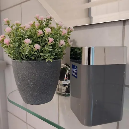 Helles Modern Eingerichtetes