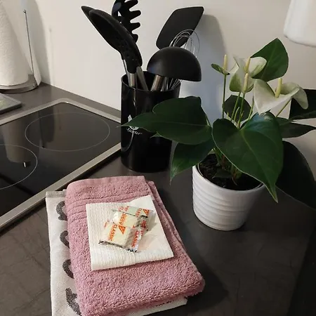 Helles Modern Eingerichtetes Apartament *