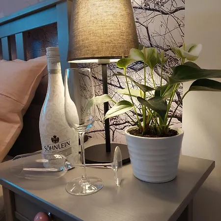 Helles Modern Eingerichtetes Apartment Halle (Saale)
