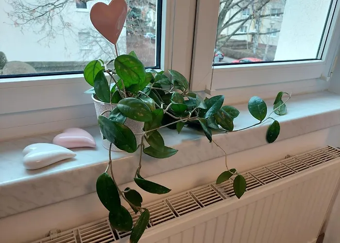 Helles Modern Eingerichtetes