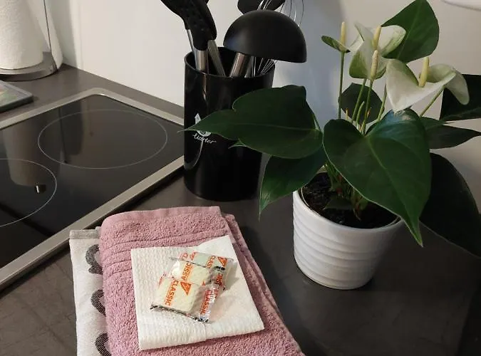 Helles Modern Eingerichtetes Apartamento *